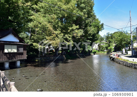三島・白滝公園と桜川 三島・白滝公園と桜川 106930901