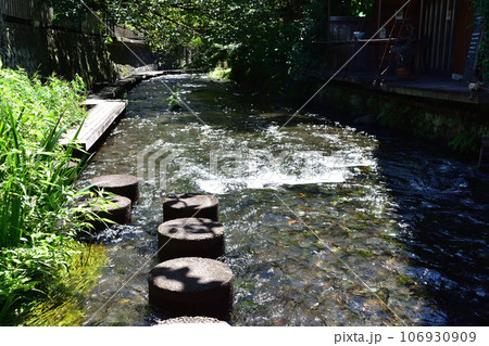 三島・源兵衛川の置き石とウッドデッキの散策路 106930909