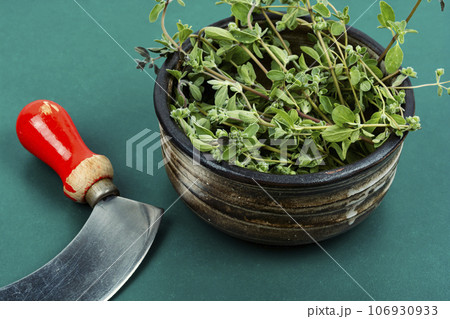 Fresh marjoram leaves on the table. Fresh marjoram leaves on the table. 106930933