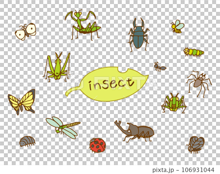昆蟲插畫（彩色） 106931044