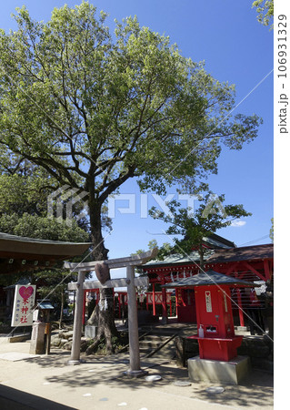 九州第二天満宮 恋する錦鯉の杜 水田天満宮 恋木神社 九州第二天満宮 恋する錦鯉の杜 水田天満宮 恋木神社 106931329