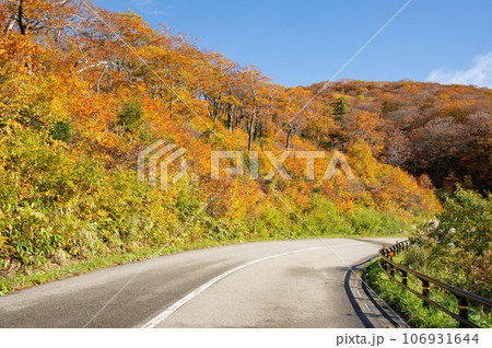 紅葉の西吾妻スカイバレー 紅葉の西吾妻スカイバレー 106931644
