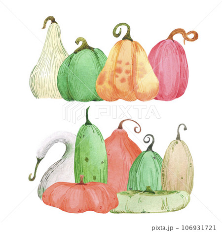 Hand drawn watercolor autumn pumpkin illustration isolated on white background. Can be used for label, Scrapbook, post card and other printed products. 106931721