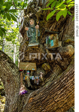 Nogueira, Spain - Jul 04, 2022 106932207