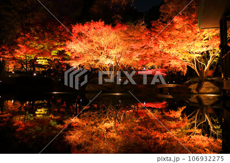 大田黒公園の紅葉ライトアップ 106932275