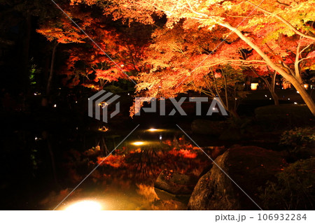 大田黒公園の紅葉ライトアップ 大田黒公園の紅葉ライトアップ 106932284