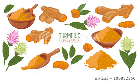 Turmeric icons set. Dry turmeric powder, turmeric roots, slices and flowers. Herbs and spices. Curcumin. Botanical illustration, vector Turmeric icons set. Dry turmeric powder, turmeric roots, slices and flowers. Herbs and spices. Curcumin. Botanical illustration, vector 106932550