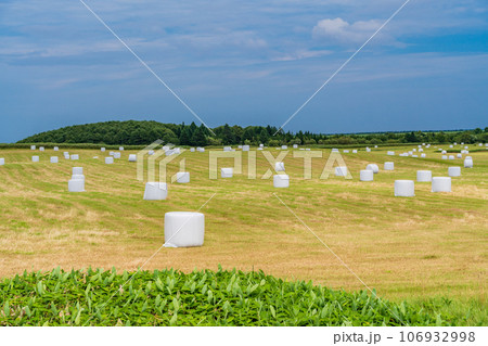 北海道らしい風景・ロールベールラップサイロの点在する採草地 106932998