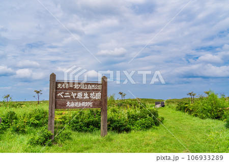 （北海道）ベニヤ原生花園 106933289