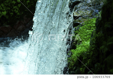 小川の水の流れ 106933769