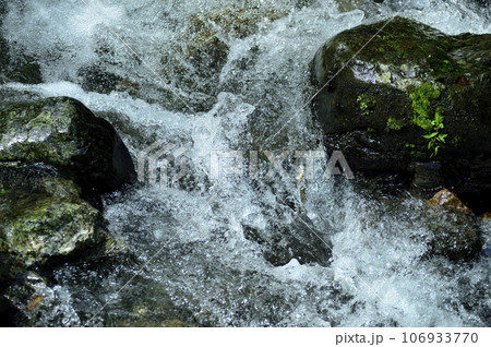 小川の水の流れ 106933770