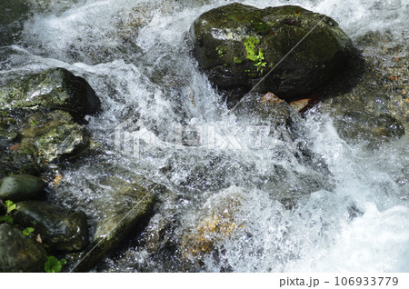小川の水の流れ 106933779