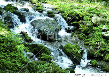 小川の水の流れ 小川の水の流れ 106933785