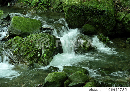小川の水の流れ 小川の水の流れ 106933786