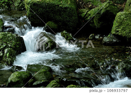 小川の水の流れ 106933797