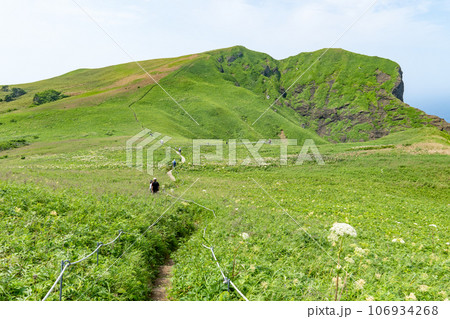 礼文島の桃岩展望台コースの美しい風景 106934268