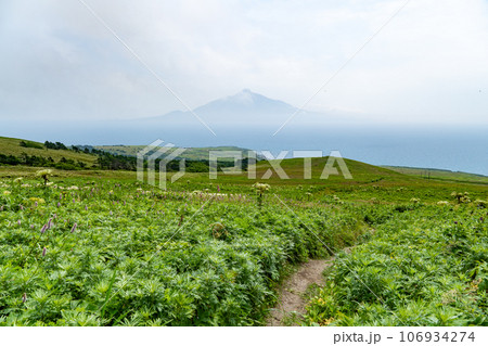 礼文島の桃岩展望台コースから見る利尻山のシルエット 106934274