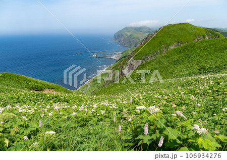 桃岩展望台コースで見られる絶景と高山植物 106934276