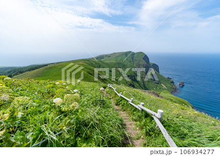 礼文島の桃岩展望台コースのトレッキング風景 礼文島の桃岩展望台コースのトレッキング風景 106934277