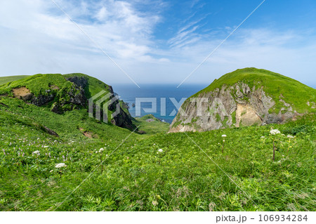 礼文島の桃岩展望台コースの谷間の絶景 礼文島の桃岩展望台コースの谷間の絶景 106934284