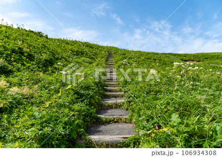 礼文島の桃岩展望台コースの階段 礼文島の桃岩展望台コースの階段 106934308