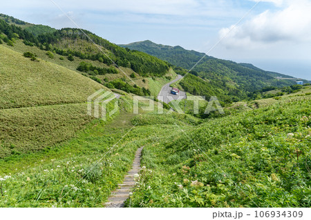 礼文島の桃岩展望台コースの登山道 106934309