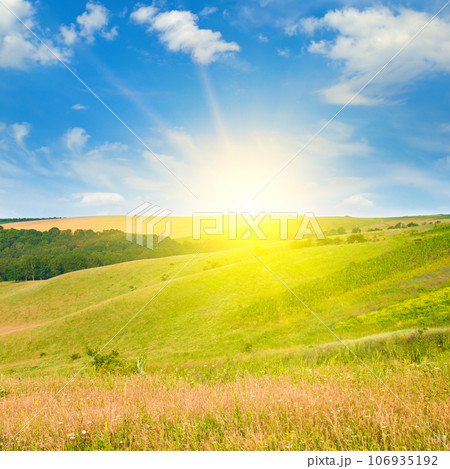 Green meadow (pasture) and sun. Green meadow (pasture) and sun. 106935192
