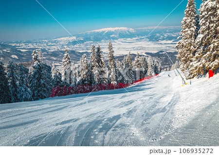 Prepared ski slope and snowy pine forest in the Carpathians Prepared ski slope and snowy pine forest in the Carpathians 106935272