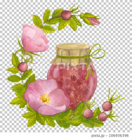 Branch Wild Rose with leaves, flowers and berries. Homemade rosehip jam in glass jar. Hand draw watercolor illustration isolated on white background. For logo, card, print packaging design, fabric 106936396