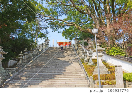 山口県の防府天満宮朱塗りの楼門が見える参道と御神木 山口県の防府天満宮朱塗りの楼門が見える参道と御神木 106937776