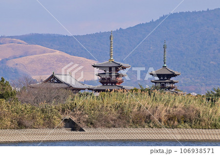 冬の勝間田池と薬師寺 106938571