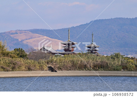 冬の勝間田池と薬師寺 106938572