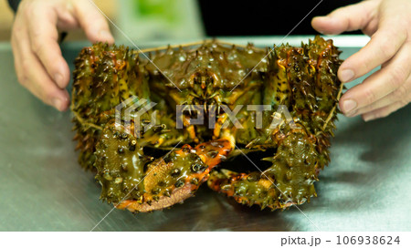 Kamchatka crab. Kamchatka crab. 106938624