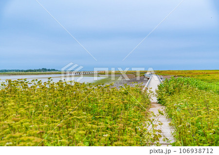 (北海道)夏の風蓮湖・春国岱 (北海道)夏の風蓮湖・春国岱 106938712