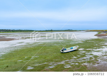（北海道）夏の風蓮湖・春国岱 106938722