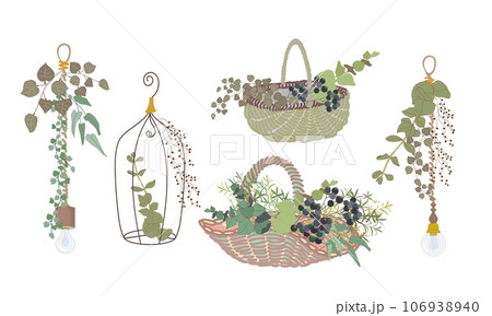 秋のインテリアグリーン・照明とドライフラワーのおしゃれ空間 秋のインテリアグリーン・照明とドライフラワーのおしゃれ空間 106938940