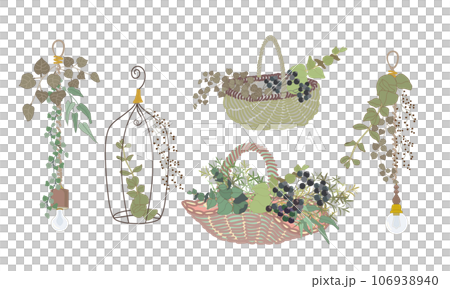 秋のインテリアグリーン・照明とドライフラワーのおしゃれ空間 秋のインテリアグリーン・照明とドライフラワーのおしゃれ空間 106938940