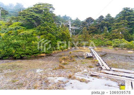 屋久島の小花之江河間の景色 屋久島の小花之江河間の景色 106939578