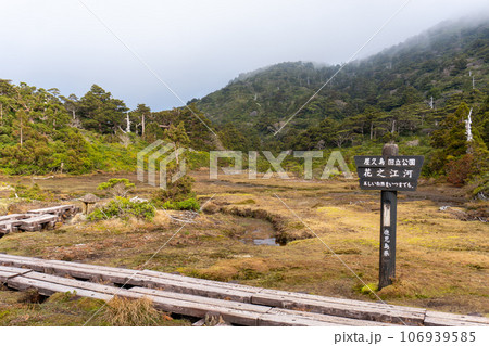 屋久島の花之江河間の景色 106939585