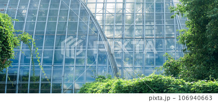view of the glass wall of a large vintage palm greenhouse behind the outdoor trees 106940663