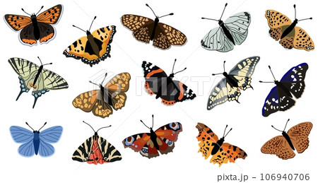 Set with various butterflies. Vector isolated illustration. 106940706