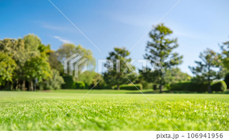 Fresh green grass. Lawn background in sunny summer day. Fresh green grass. Lawn background in sunny summer day. 106941956