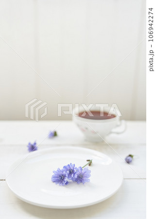 Cichorium flowers in a saucer, on a light background. Flowers of ordinary chicory or cichorium dioecious. With space to copy. High quality photo 106942274