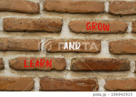 Learn and grow symbol. Concept word Learn And Grow on beautiful red brown bricks. Beautiful red brown brickwall background. Business, education learn and grow concept. Copy space. 106942915