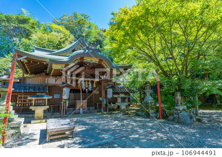 京都市東山区　　粟田神社の本殿 106944491