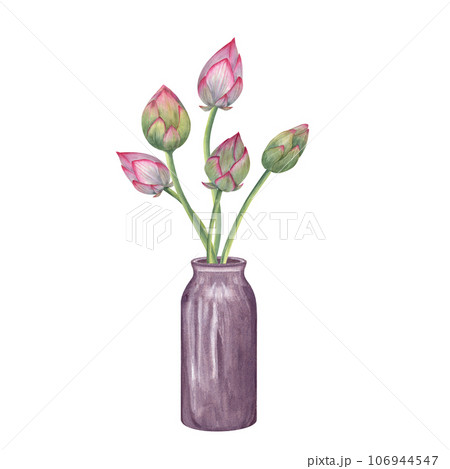 Pink lotus buds in ceramic vase. Bouquet of waterlily for interior decoration, comfort. Flower, bud, stem, flowerpot. Watercolor illustration for decor, design, creating new composition Pink lotus buds in ceramic vase. Bouquet of waterlily for interior decoration, comfort. Flower, bud, stem, flowerpot. Watercolor illustration for decor, design, creating new composition 106944547