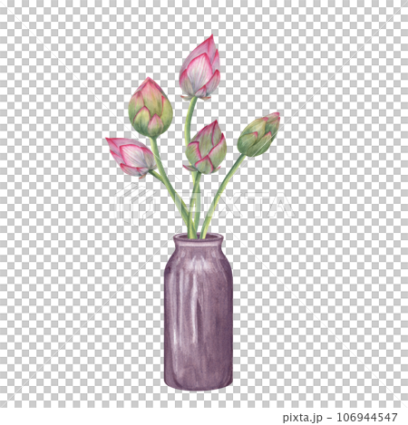 Pink lotus buds in ceramic vase. Bouquet of waterlily for interior decoration, comfort. Flower, bud, stem, flowerpot. Watercolor illustration for decor, design, creating new composition Pink lotus buds in ceramic vase. Bouquet of waterlily for interior decoration, comfort. Flower, bud, stem, flowerpot. Watercolor illustration for decor, design, creating new composition 106944547