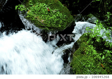 小川の水の流れ 106945268