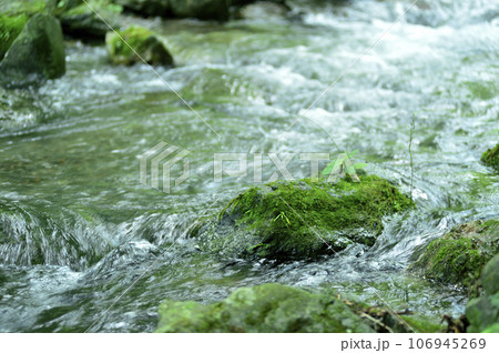 小川の水の流れ 106945269
