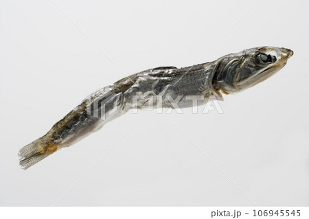 にぼし にぼし 106945545